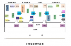 PCR实验室包括哪几个区