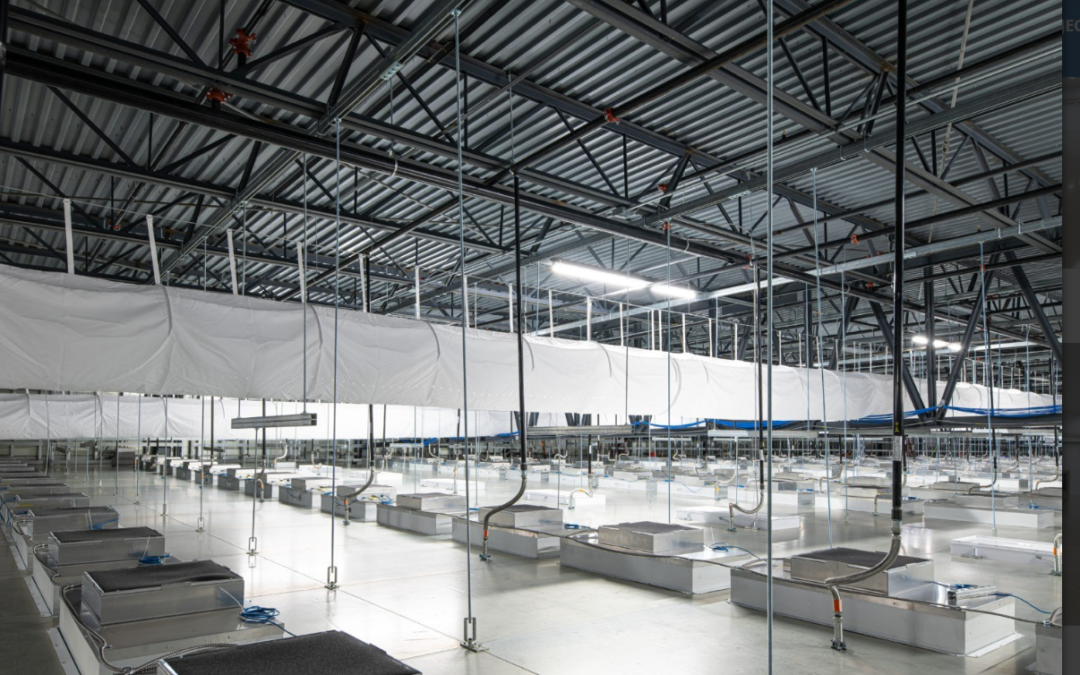 风扇过滤器单元和空气处理单元：有什么区别？