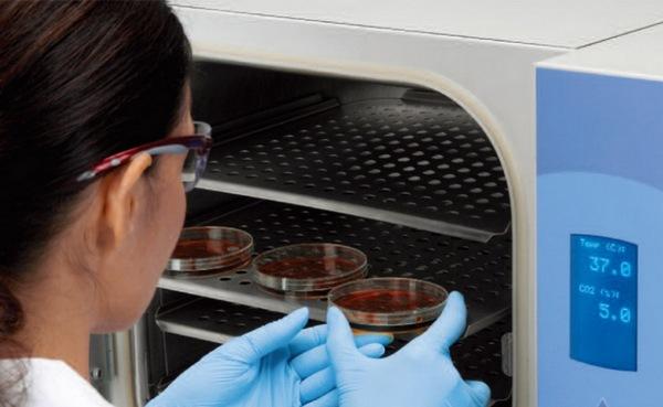 微生物无菌实验室