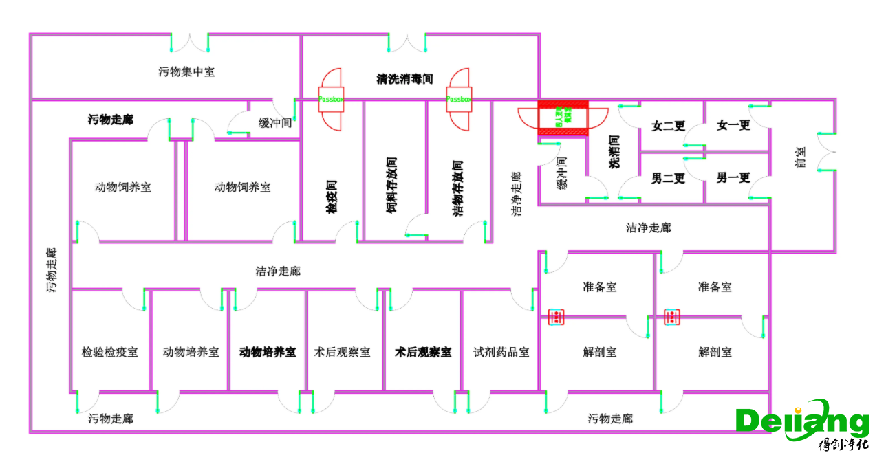动物实验室区域划分