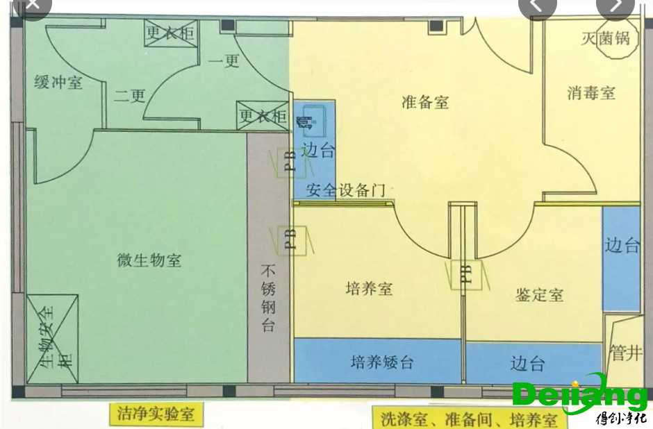 微生物实验室平面布局