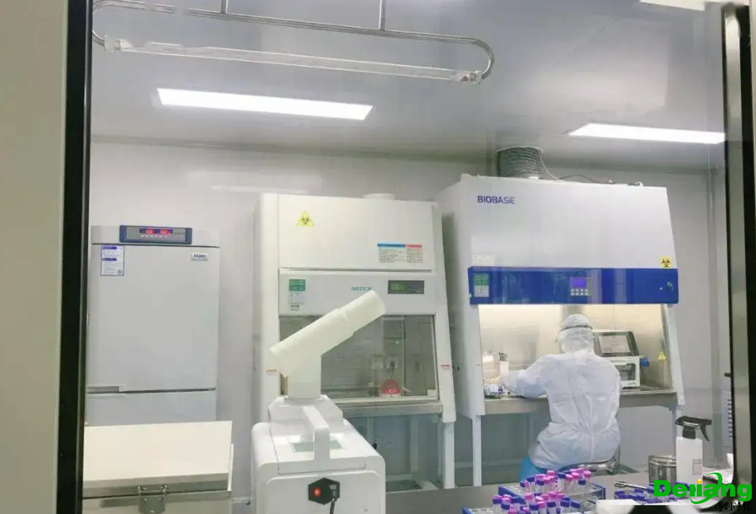 PCR实验室分析区