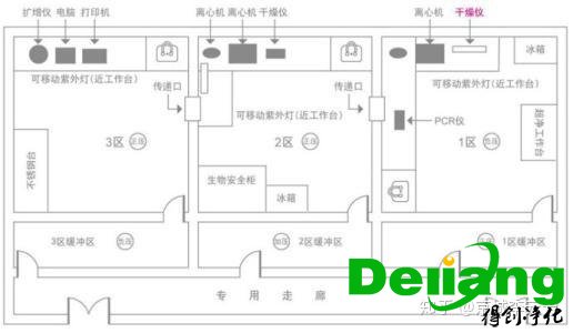 PCR实验室效果图