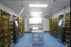 动物实验室施工费用多少钱