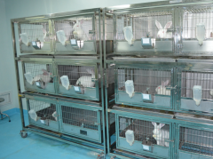 动物实验室建设装修标准