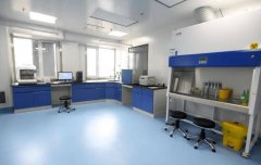 移动PCR实验室施工流程