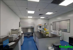 实验室施工规范及施工安全性